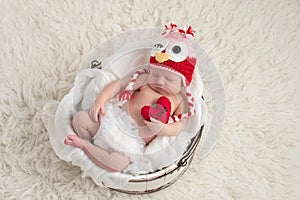 Newborn Baby Girl Wearing an Owl Hat