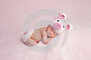 Newborn Baby Girl Wearing Piglet Costume