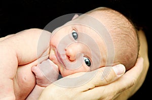 Newborn baby in a hand