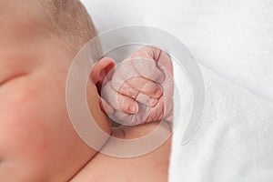 Newborn Baby Hand