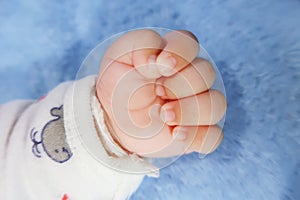 Newborn baby hand. Close up newborn baby hand over blue background