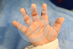 Newborn baby hand. Close up newborn baby hand over white background