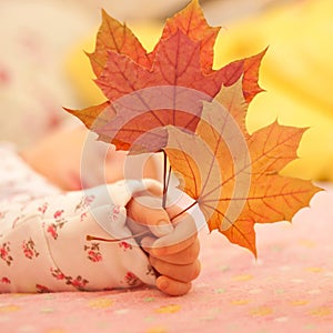 Newborn baby hand holding autumn leaves.