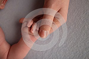 The newborn baby has a firm grip on the parent& x27;s finger after birth. Close-up little hand of child and palm of mother