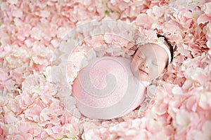 Newborn baby have a sweet dream with smile wearing a pink headband and swaddling with pink wrap