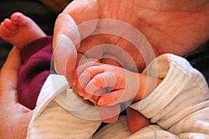 Newborn baby holding adults finger.