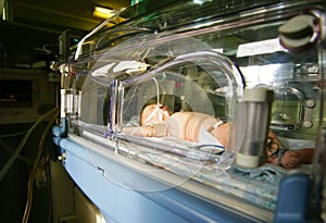 Newborn Baby in Incubator
