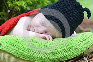 Newborn baby in lady bug costume sleeping on pillow