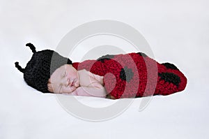Newborn baby with ladybug knit hat and bodice photo