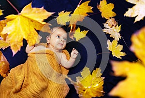 Newborn baby lay in yellow autumn maple leaves