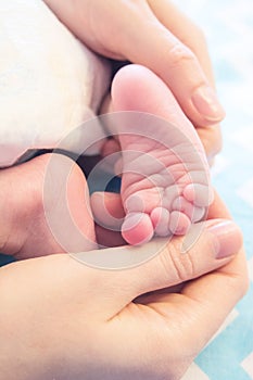 Newborn baby legs in mother`s hands, the concept of motherhood