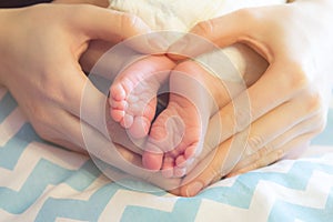 Newborn baby legs in mother`s hands, the concept of motherhood