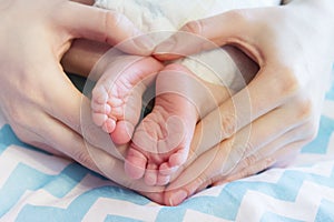 Newborn baby legs in mother`s hands, the concept of motherhood