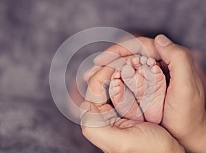 Newborn baby legs in parents hands