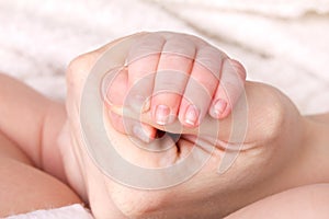 Newborn baby little hand