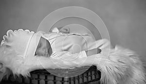 Newborn baby lying on the basket and plaid