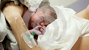 Newborn baby lying on the breast of the mother