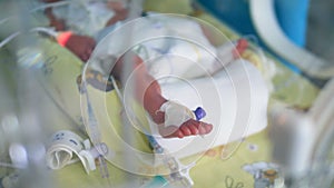 A newborn baby lying inside a crib at a hospital.