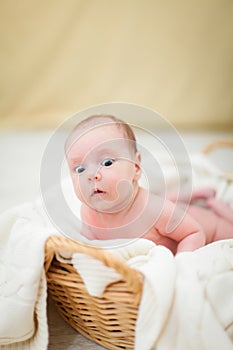 Newborn baby is lying in wicker basket. Basket on white wooden background. Newborn photo shoot