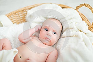 Newborn baby is lying in wicker basket. Basket on white wooden background. Newborn photo shoot