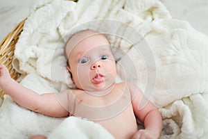 Newborn baby is lying in wicker basket. Basket on white wooden background. Newborn photo shoot