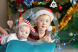 Newborn baby with older brother posing against the background of Christmas tree. Portrait of two lovely brothers in