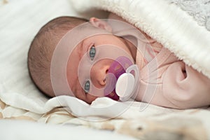Newborn Baby Portrait, Beautiful New Born Kid sucking Pacifier