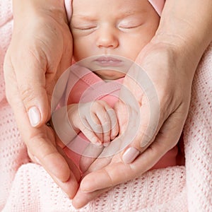 Newborn Baby Portrait in Family Hands, Sleeping New Born Kid, Parents Care
