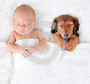 Newborn baby and puppy