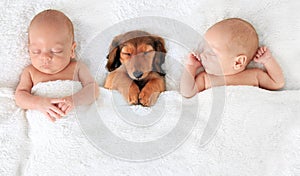 Newborn baby and puppy