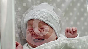 Newborn Baby Red Cute Face Portrait Early Days Crying In Medical Glass Bed On Grey Background. Child At Start Minutes Of