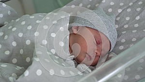 Newborn Baby Red Cute Face Portrait Early Days Sleeping In Medical Glass Bed On Grey Background. Child At Start Minutes