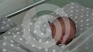 Newborn Baby Red Cute Face Portrait Early Days Sleeping In Medical Glass Bed On Grey Background. Child At Start Minutes