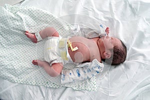 Newborn baby resting in hospital crib