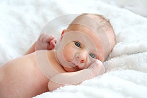 Newborn Baby Resting on White Blankets