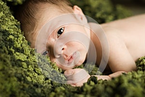 Newborn Baby on a Rich Green Blanket