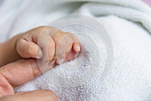 Newborn baby`s hand wrapped