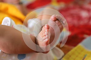 Newborn baby`s little feet.close up of legs