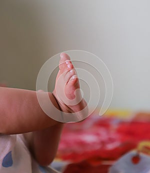 newborn baby`s little feet.close up of legs.