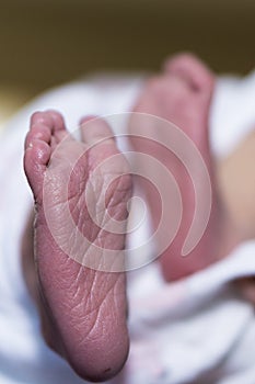 Newborn Baby's Wrinkly Foot