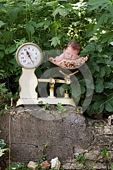 Newborn baby in a scale