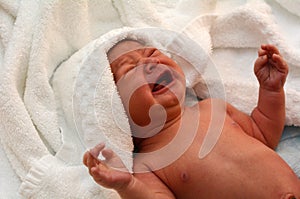 Newborn baby screaming