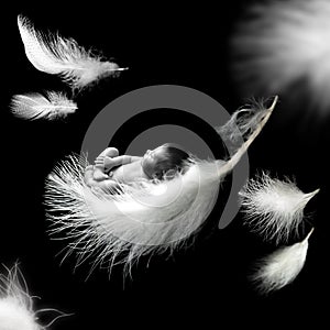 Newborn baby sleeping on feather