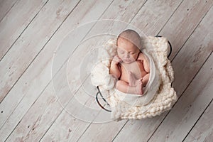 Newborn Baby Sleeping in a Wire Basket