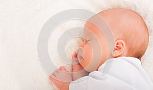 Newborn baby sleeps photo