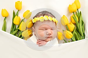 A newborn baby sleeps sweetly with a toy in a basket among the flowers of tulips