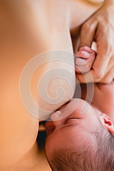 Newborn baby sucking breastfeeding from his mother`s breast