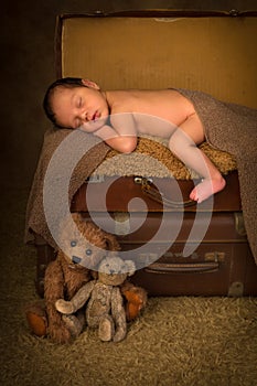 Newborn baby in suitcase