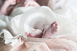 Newborn baby sweet feet and toes