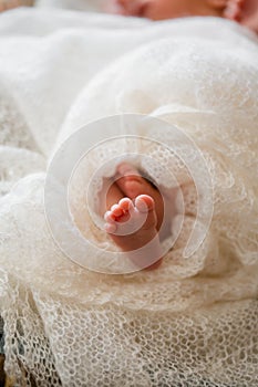 Newborn baby on a white blanket - tiny baby feet closeup. new born greeting card concept